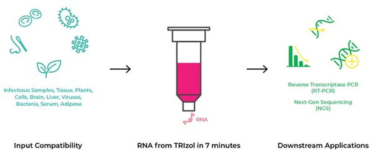 TRIzol® workflow