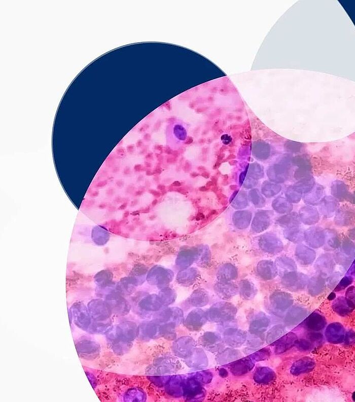 Introduction to Cell Lines