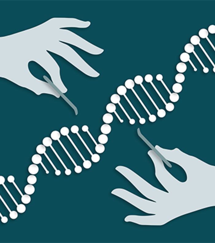 Advances in CRISPR genome editing