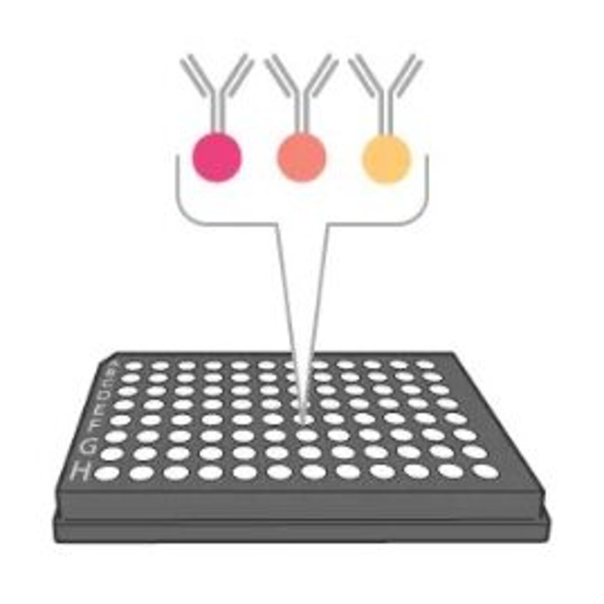 EYRAplex add capture beads