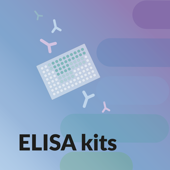 ELISA Kits