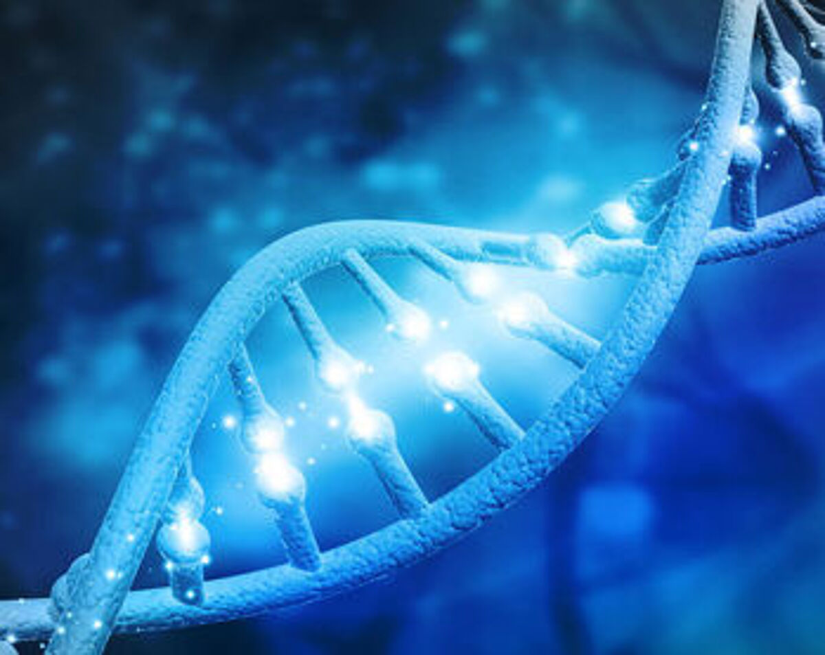 Blog-ISH-DNA