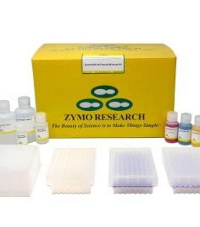 Scaling Plasmid Production for Industrial R&D