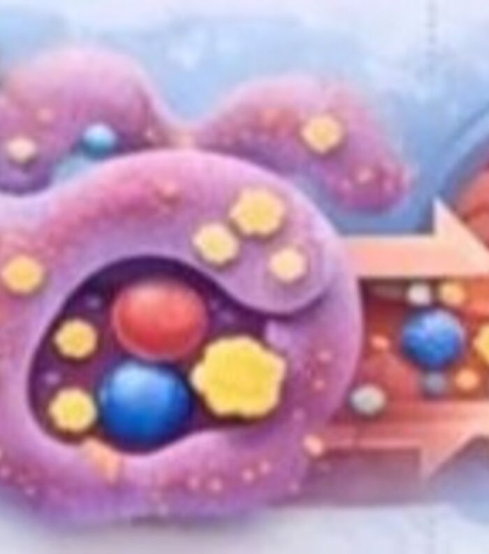 Immune Gateways Bypass the Blood Brain Barrier