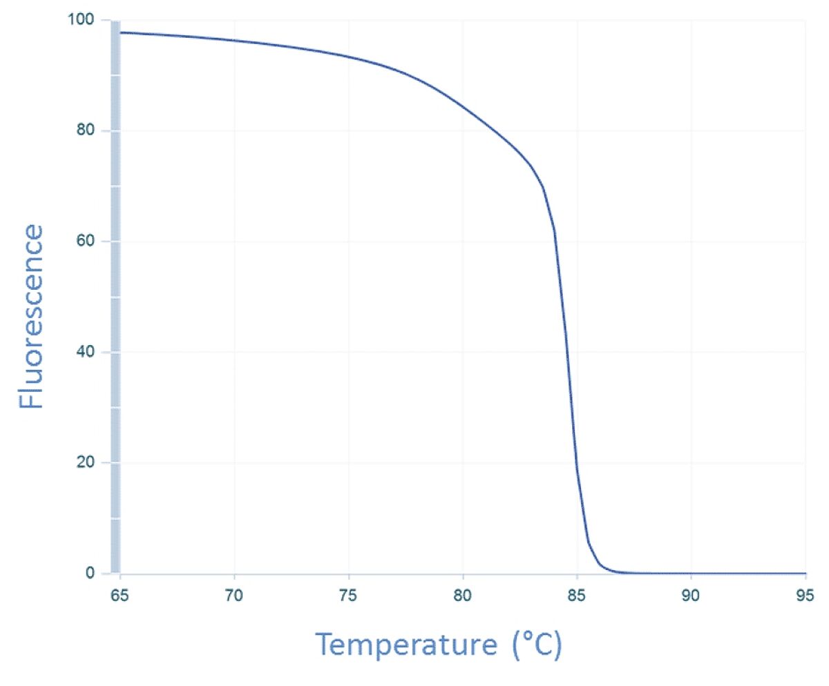 Figure 3. Dissociation curve of CFTR exon 17b amplicon. Change in fluorescence with increasing temperature is measured. As the temperature is increased, the 2 strands of the amplicon separate to form single-stranded DNA, causing the fluorescent intercalating dye to dissociate from the DNA and stop fluorescing.