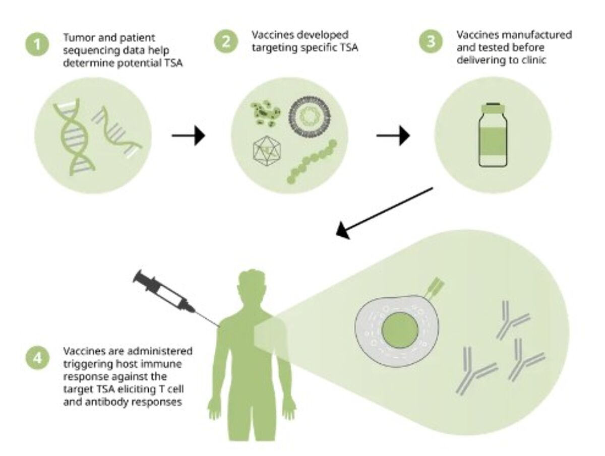 Researchers gather sequencing data to identify potential TSAs that are then used in viral vector-, peptide-, or DNA/RNA-based vaccines which are manufactured and administered to patients to elicit cancer-specific immune responses.