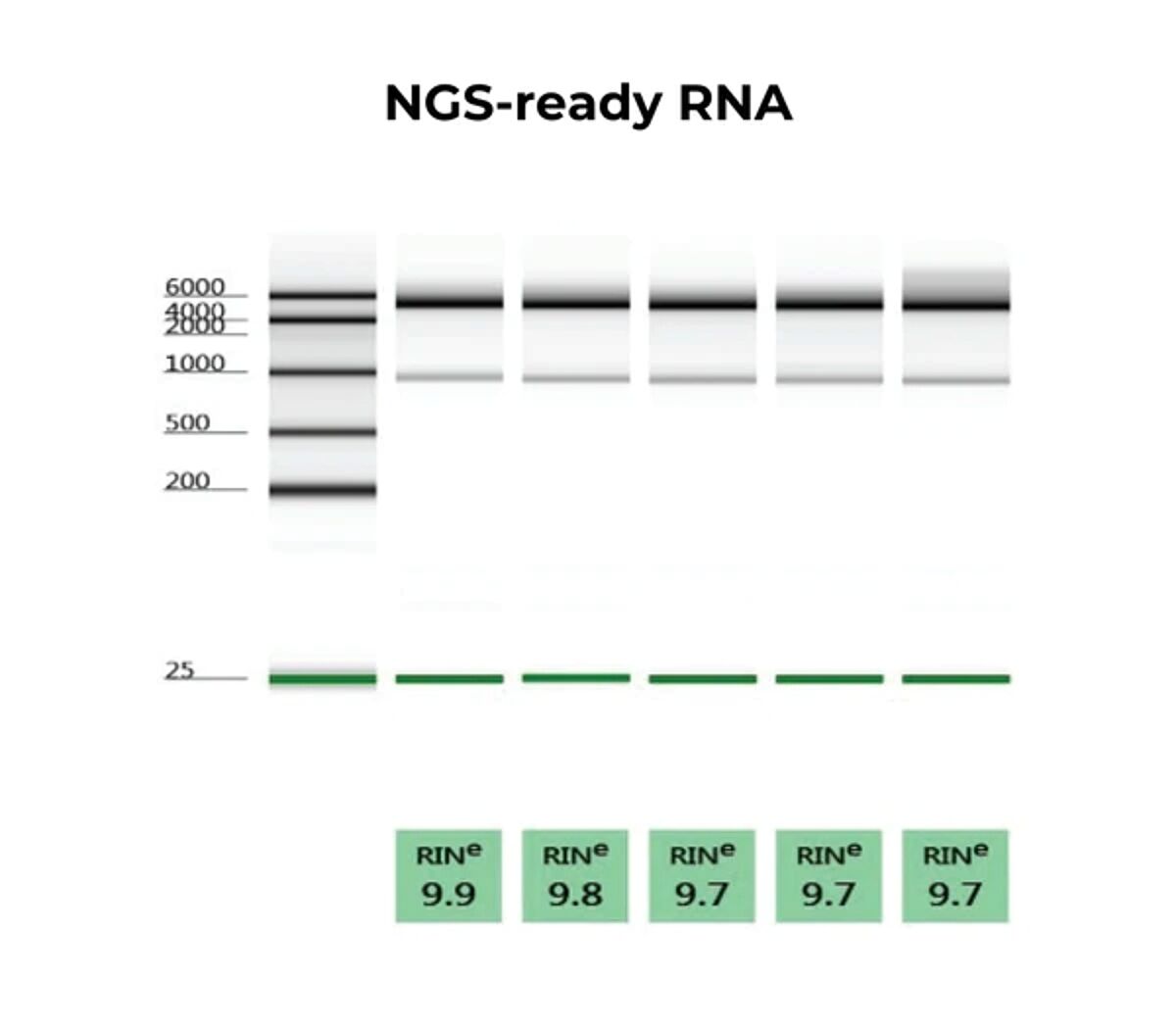 ngs ready rna