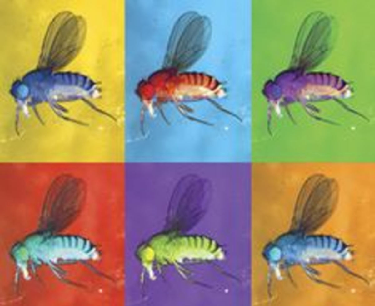 Our 10 favorite fruit fly gene names