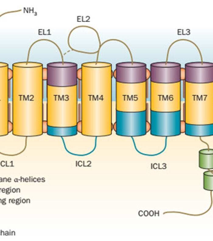 GPCRs: Structure, Function, and Challenges for Research