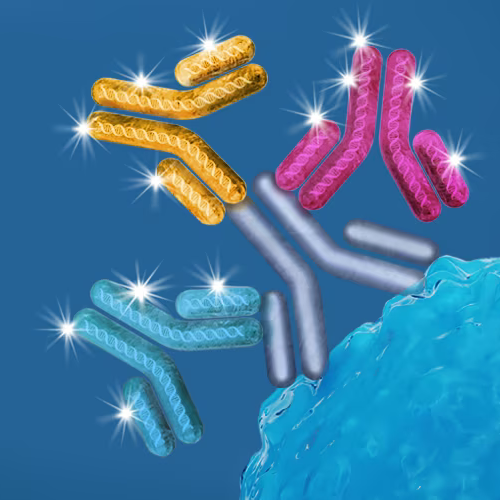 Proteintech - Multi-rAb Goat Recombinant Secondary Antibodies