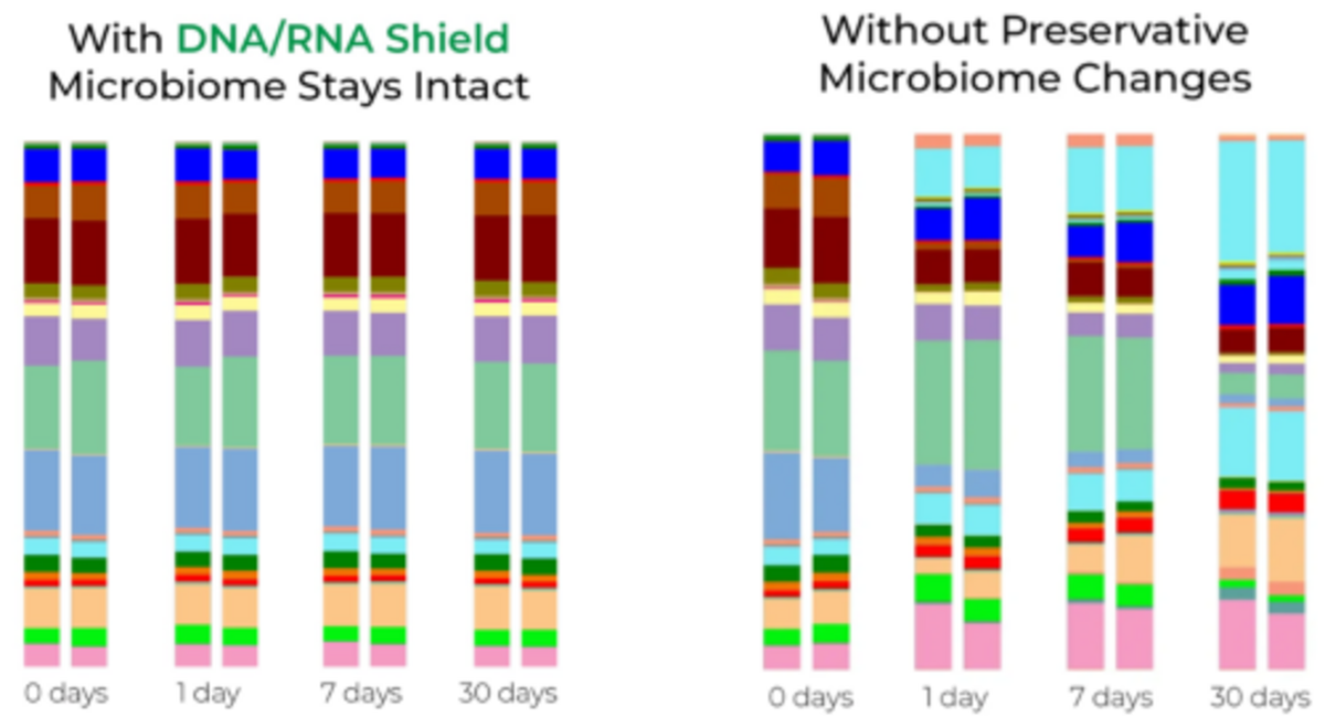 Microbial Composition of Stool is Unchanged After One Month at Ambient Temperature with DNA/RNA Shield™