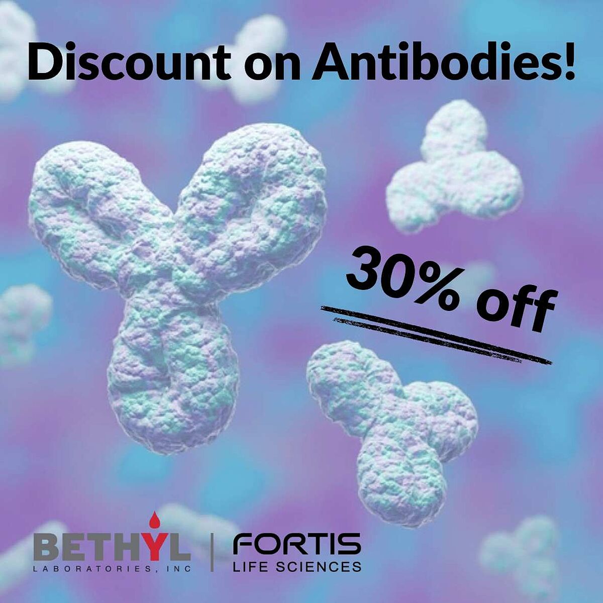 Bethyl 30% off Antibodies