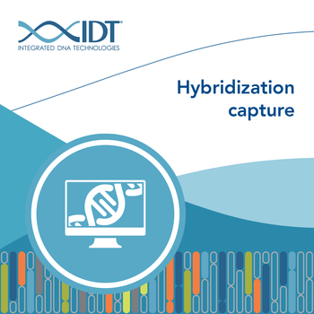 Target enrichment by hybridization capture