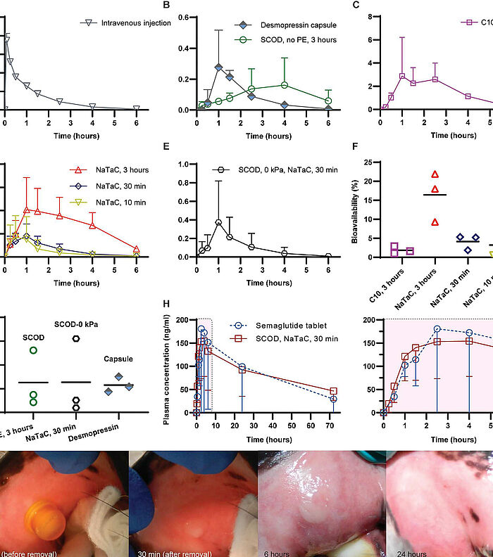 Boosting absorption of peptides with buccal-stretching