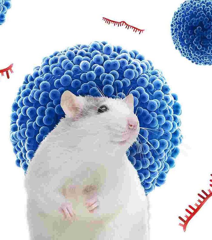 Extracellular Vesicle Cargo Reflects Age