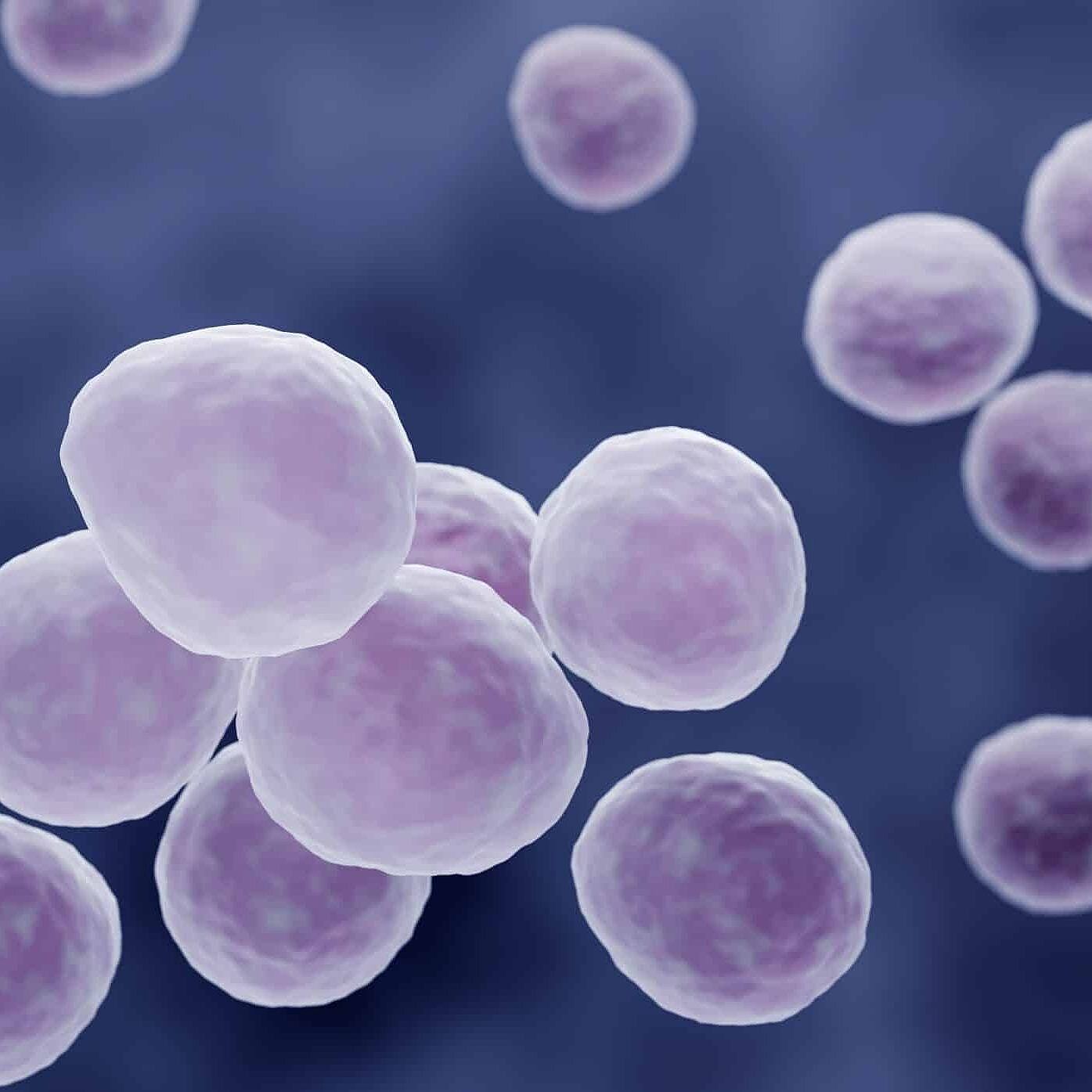 stem cell illustration