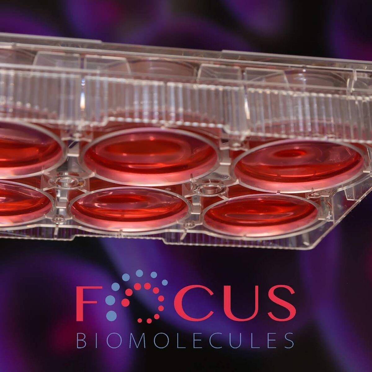 Cell culture plate & Focus Biomolecules Logo