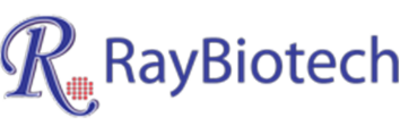 raybiotech logo