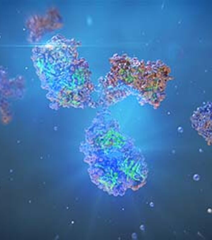 Analyzing histone PTMs and chromatin states with CUT&Tag