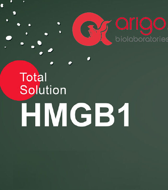 HMGB1 – A Protein with Many Faces