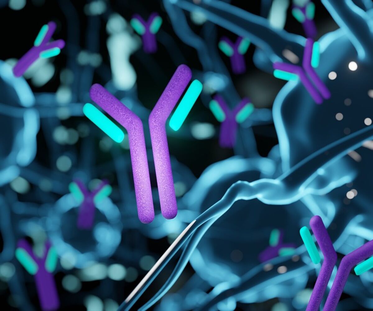 antibody illustration