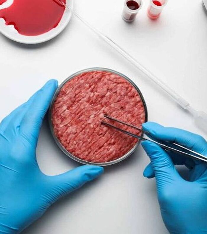 Cultured Meat: From Cell Culture to Restaurant Table