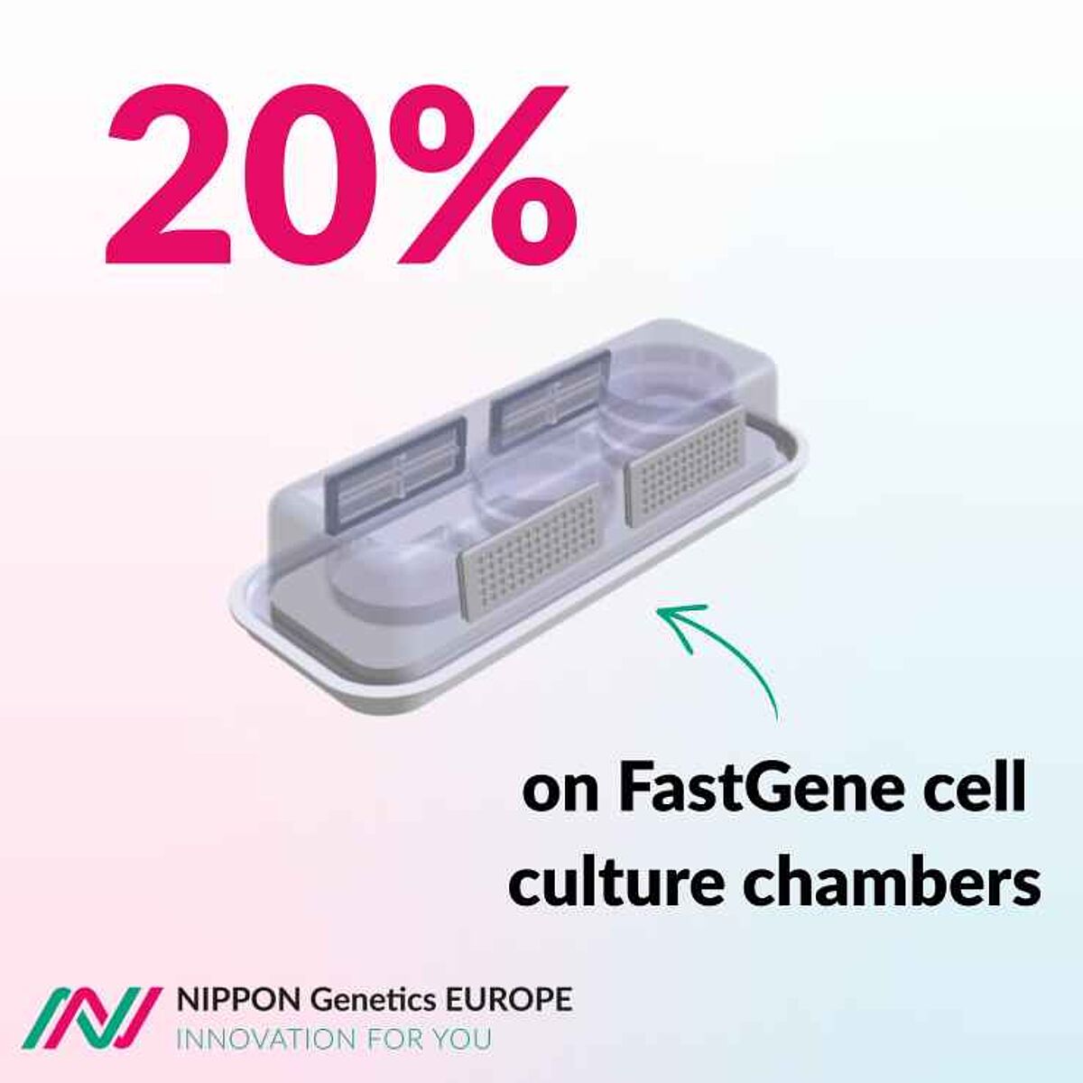 20% discount Nippon