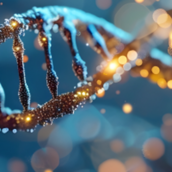 gBlocks™ HiFi Gene Fragments