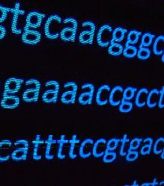 Amplicon sequencing: 5 tips for a successful experiment