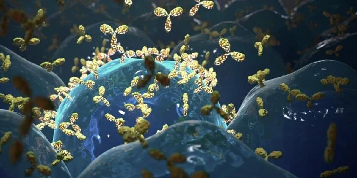 DNA sequences for desirable recombinant antibodies are isolated from synthetic or animal sources, cloned, and expressed in host cells.