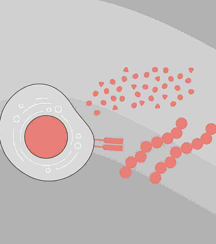 Immunoassays for Immunotherapy Research