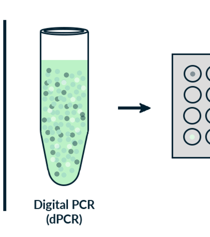 Digital PCR – A simple guide