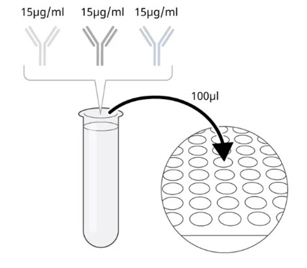 The total volume of the mix should be 100 µl