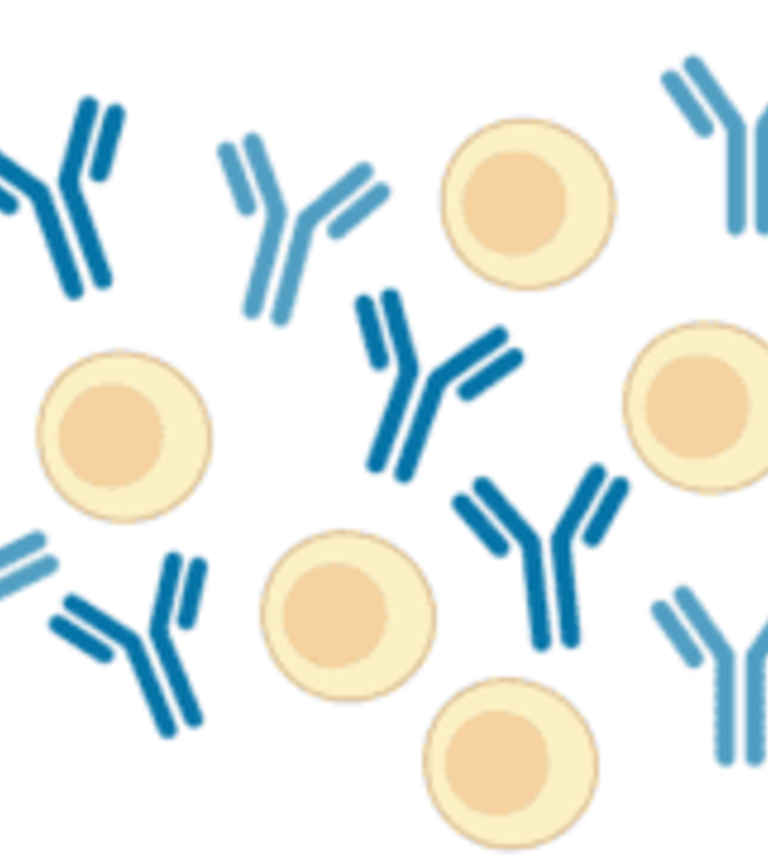 CHO cells - unwavering champion of biologics production