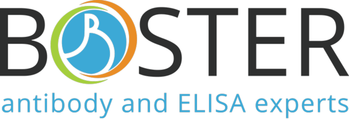 Boster Biological logo