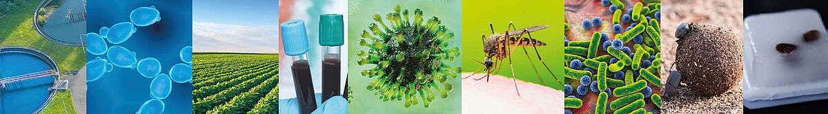 Illustrative banner showing different potential sample types for RNA purification kits.