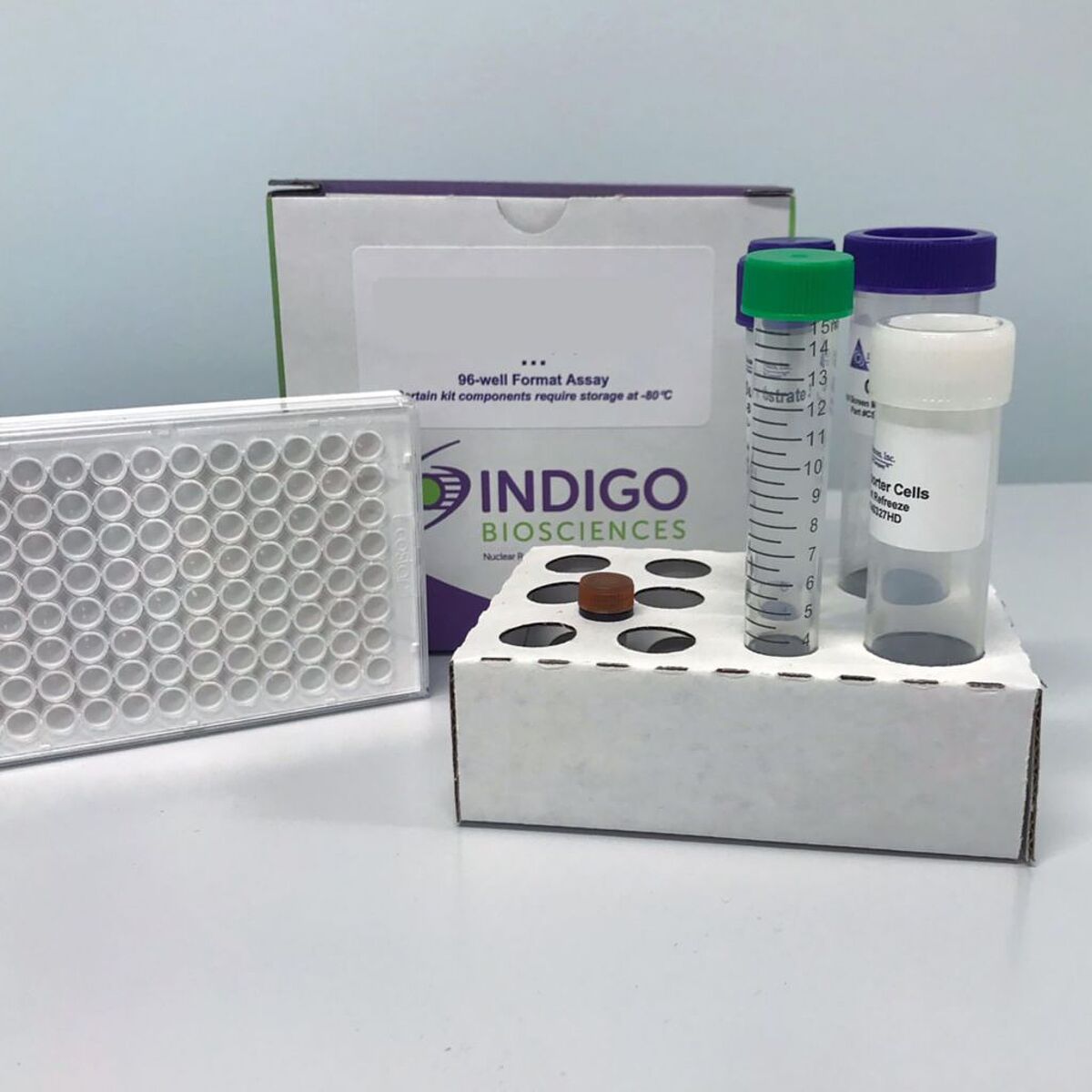 INDIGO-Assay-Kit