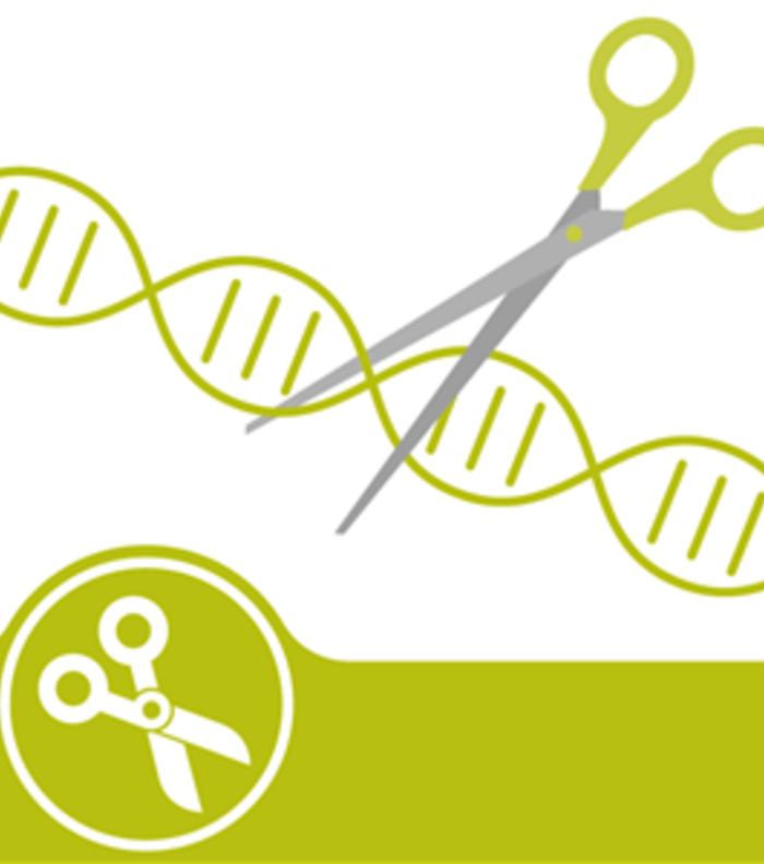 CRISPR 2.0 - PAMless Cas-variants & editing mitochondrial