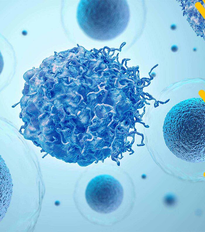 GeneTex’s recombinant antibodies for cancer research