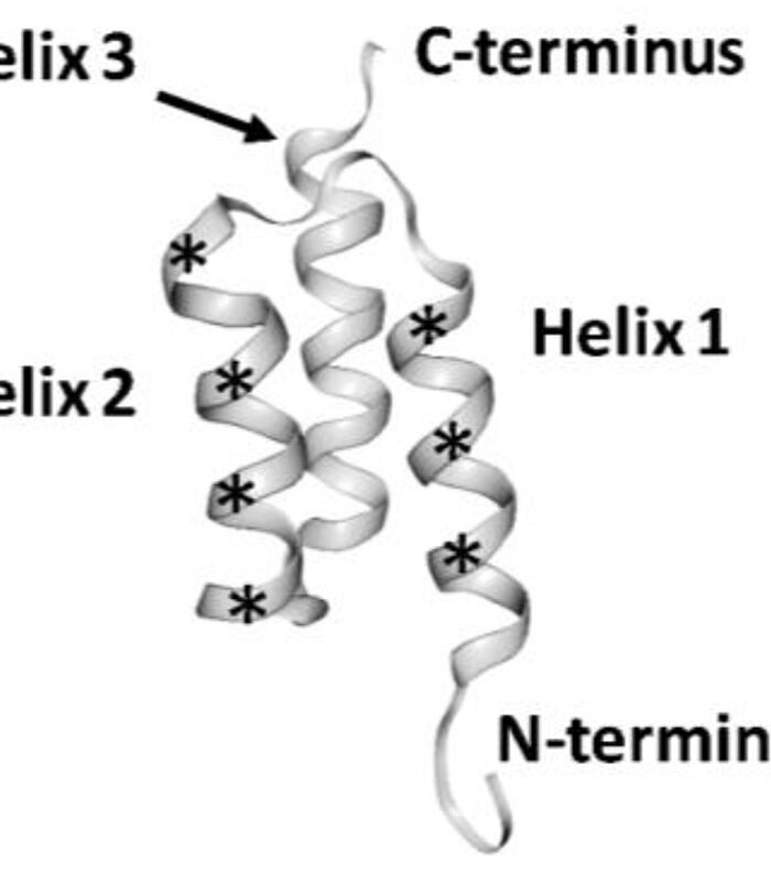 Synthetic immune reagents as antibody alternatives, #2