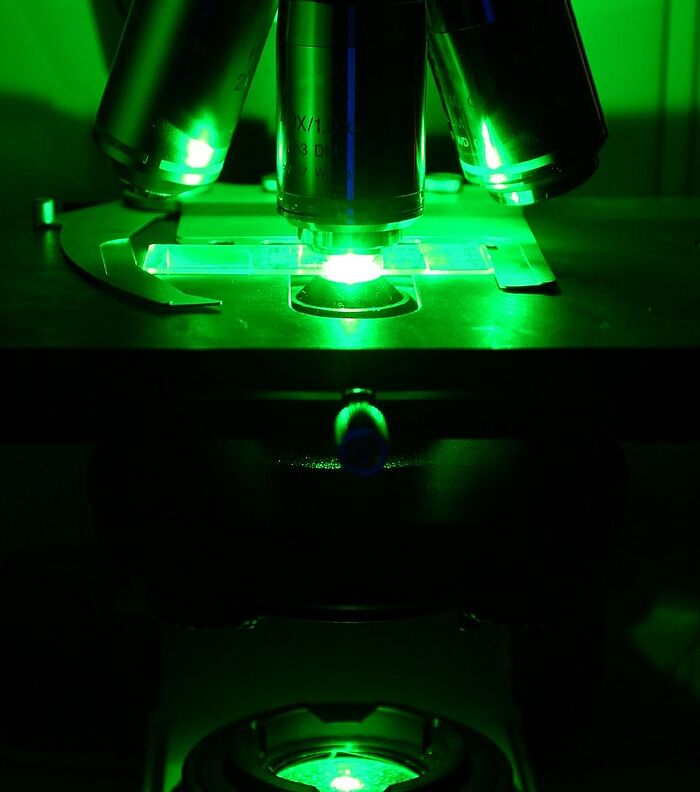 Expansion Microscopy is Transforming Biological Imaging