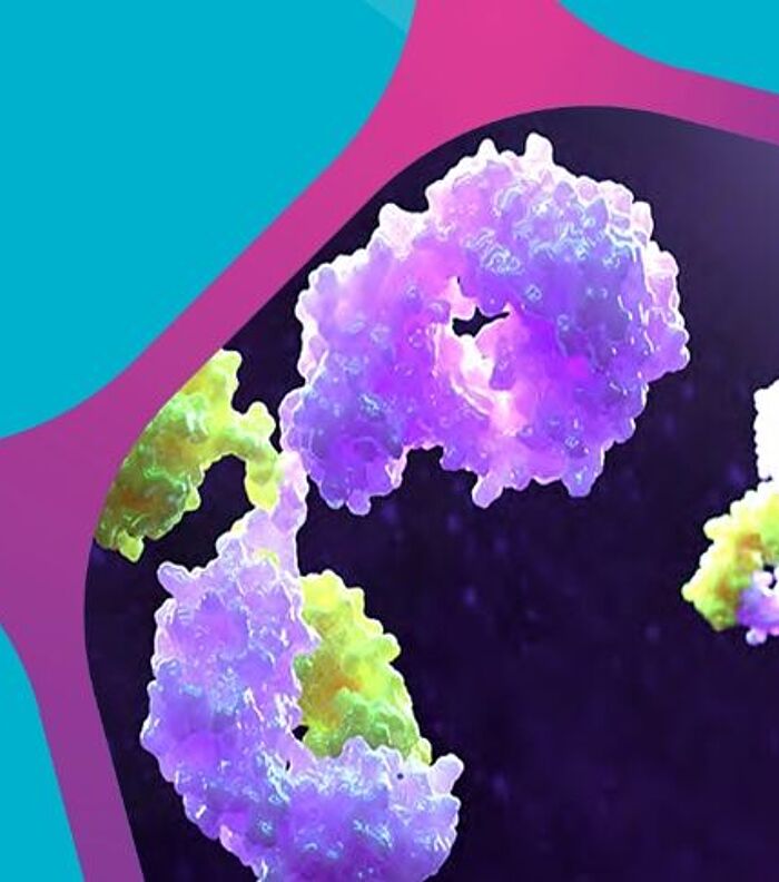 The Five Pillars of Functional Antibody Study Design