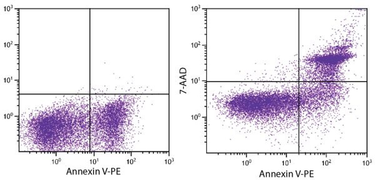 Day old BALB/c mouse splenocytes were stained with ApoScreen Annexin V Apoptosis Kit-PE