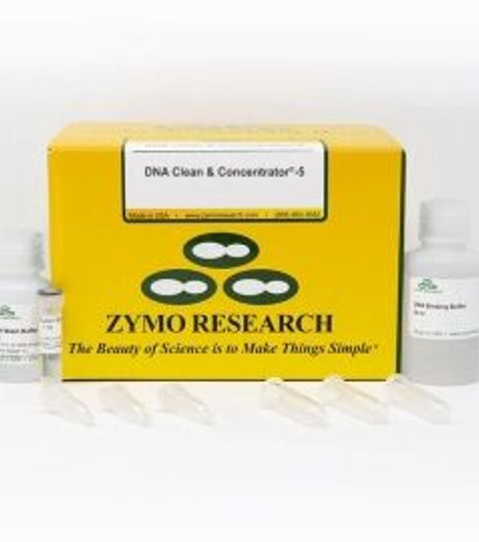 DNA Purity is the Foundation for Downstream Success