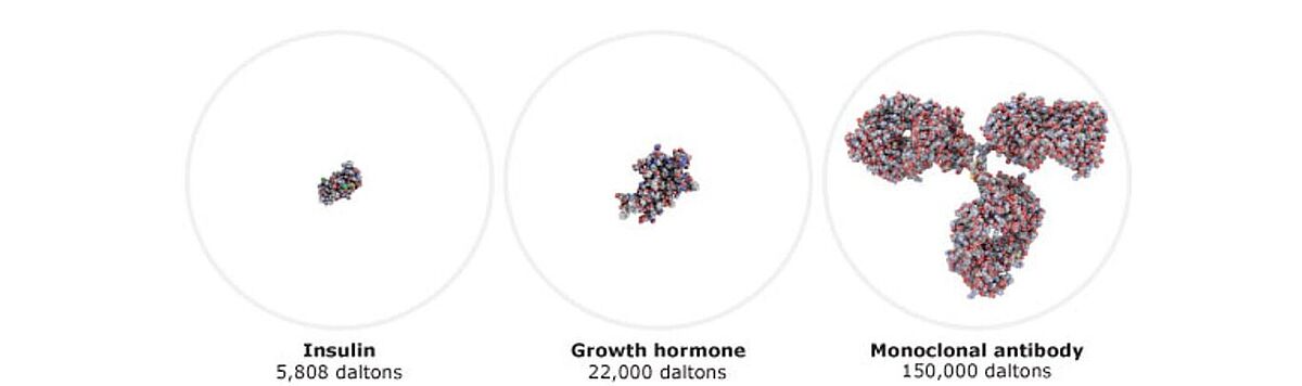 Example Proteins