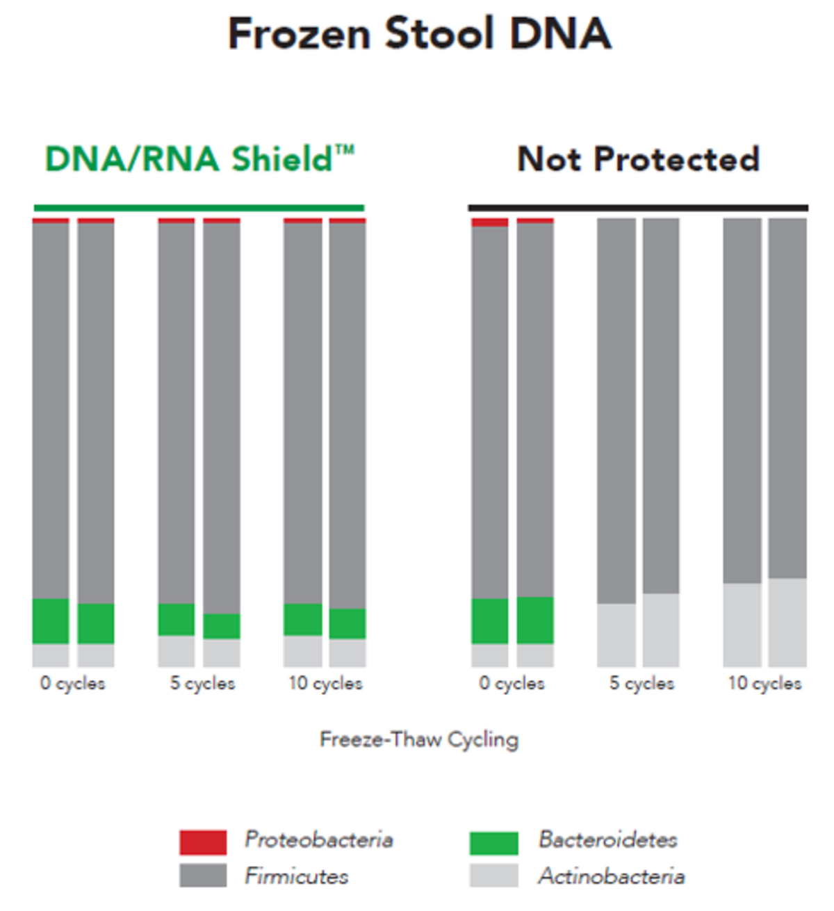 High-quality DNA from stool stored in DNA/RNA Shield after up to 10 freeze-thaw cycles. Microbial compostition profiiing via 16S rRNA gene targeted sequencing.