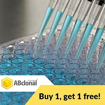 abclonal teaser buy 1 get 1 free primary antibody trial size 