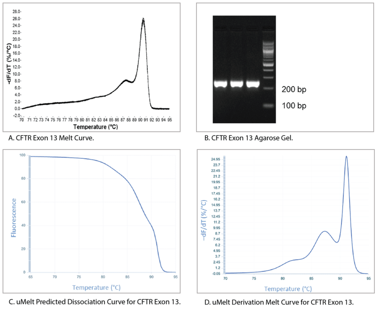 Figure 6. Comparative analysis of CFTR exon 13 amplicons. Instrument-derived, agarose gel, and uMelt analyses of an amplicon generated from exon 13 of CFTR are compared. (A) The instrument-derived melt curve suggests the presence of 2 amplification products. (B) An ethidium bromide-stained agarose gel of the qPCR product shows a single band. (C) A predictive uMelt dissociation curve shows the slight changes associated with regions of different stability. (D) A derived melt curve from the dissociation curve in C shows how closely the uMelt prediction agrees with the actual melt curve obtained by the instrument (shown in A).
