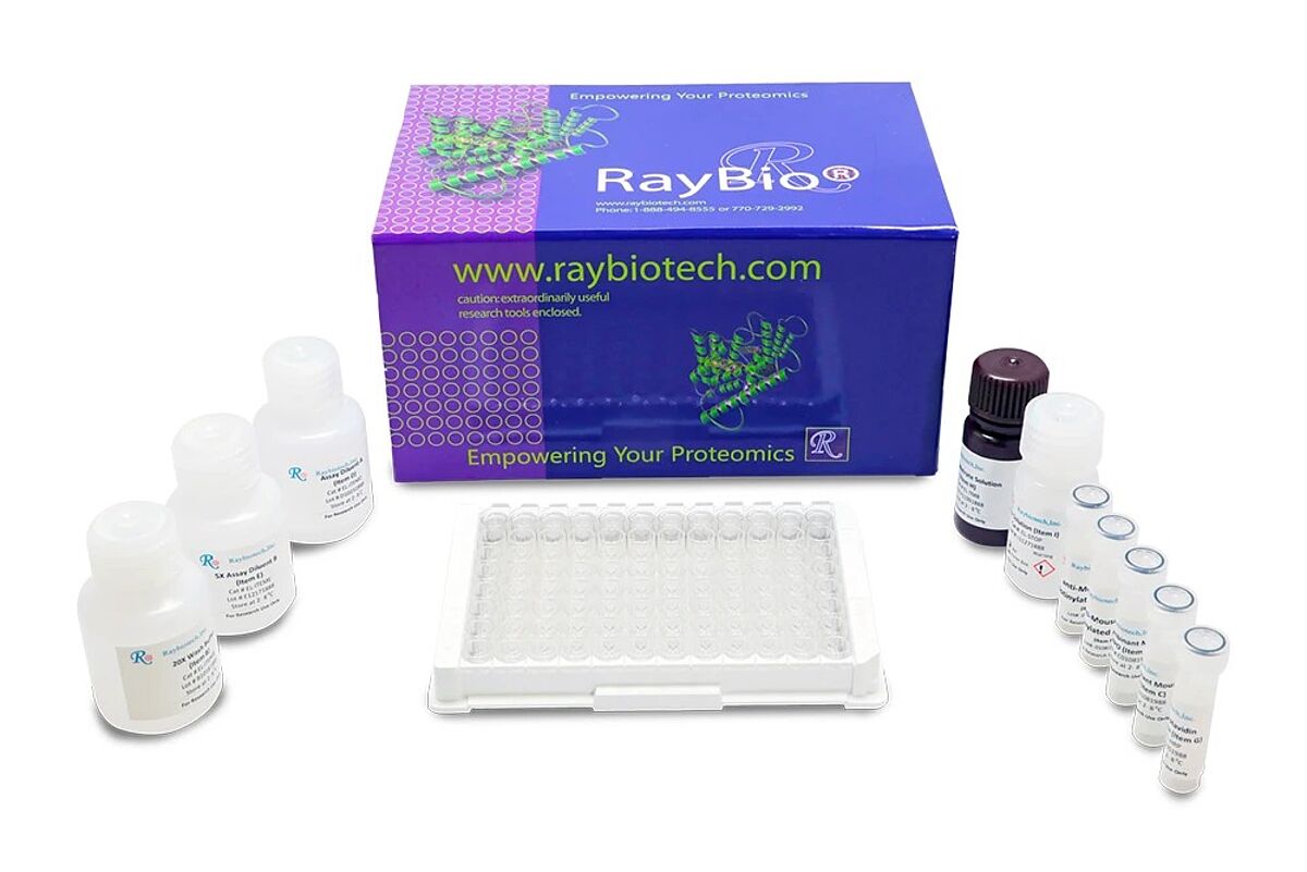 raybio product image elisa kit