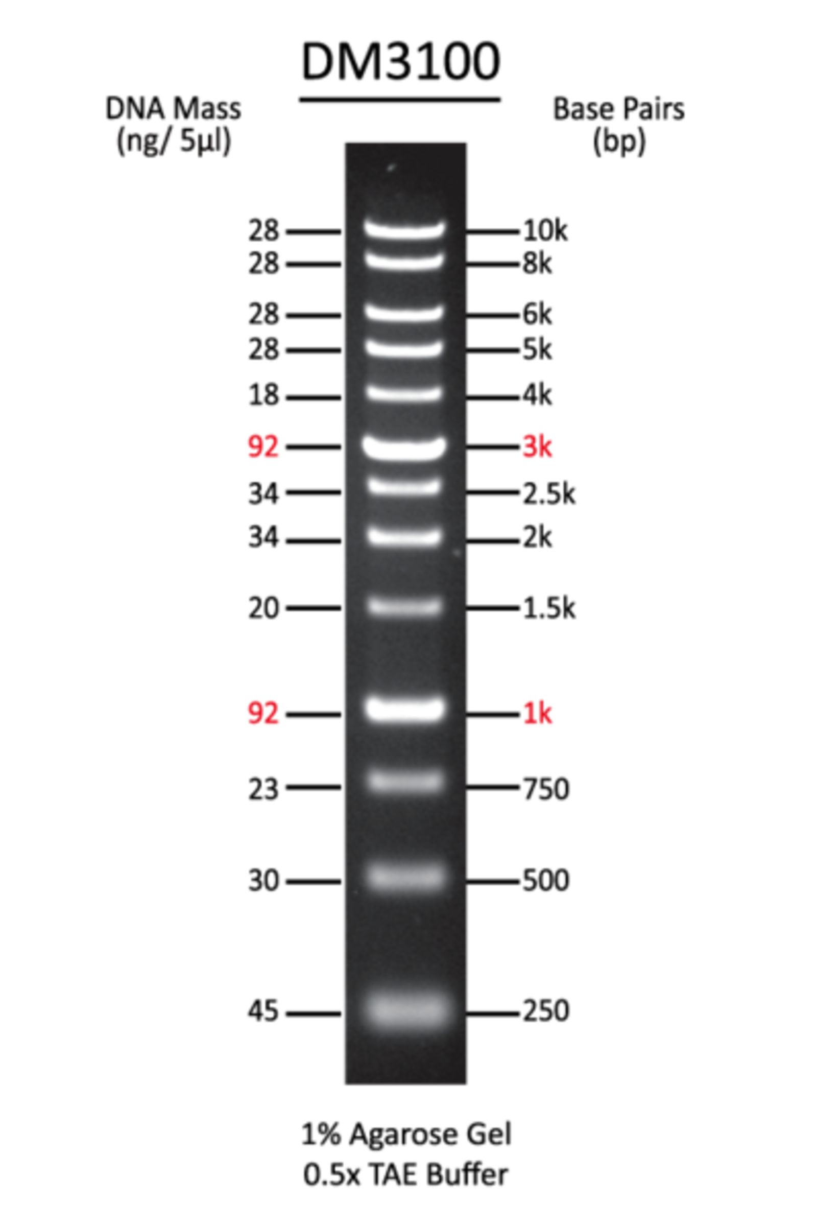 Midori Green safe DNA stain and economical DNA ladders